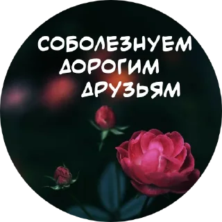 🥀