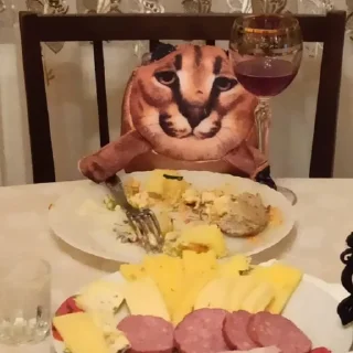 🍽️