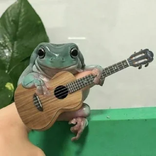 🎸