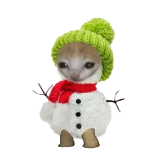 ⛄️