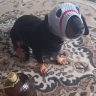🥷