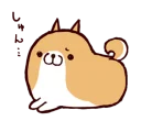 🐶