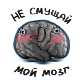 🧠
