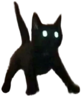 😱