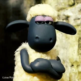 🐑