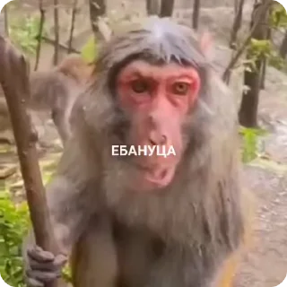 😳