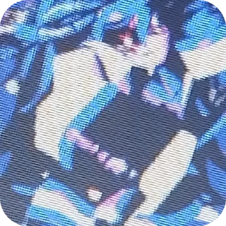 😈