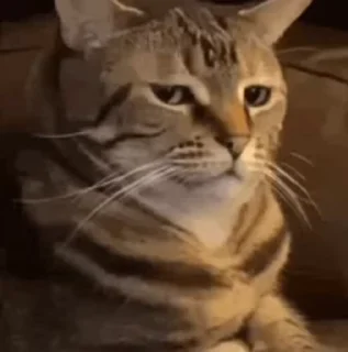 😐