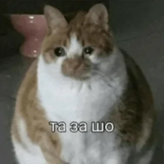 😩