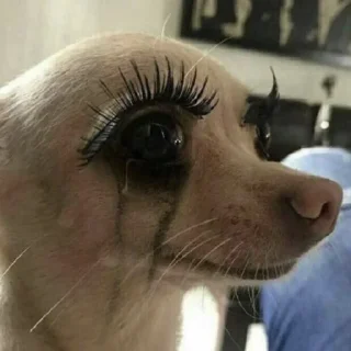 😢