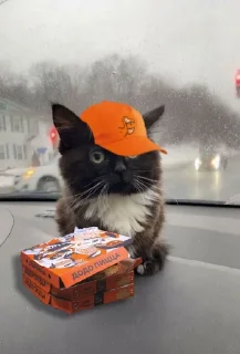 🍕
