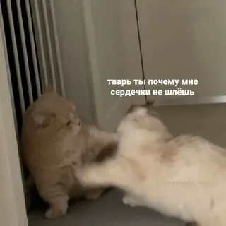 😠