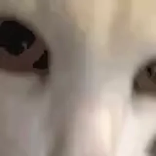 😃