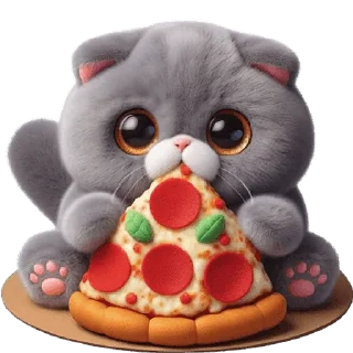 🍕