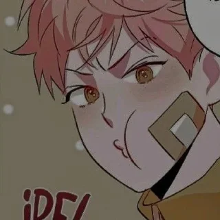 ✨