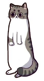 🐈