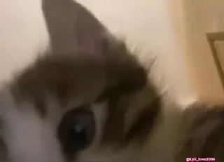 😳
