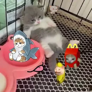 🎈