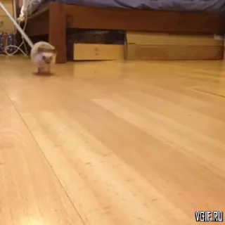 🏃‍♂️