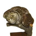 🤔