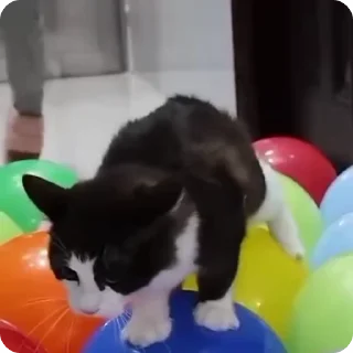 😱