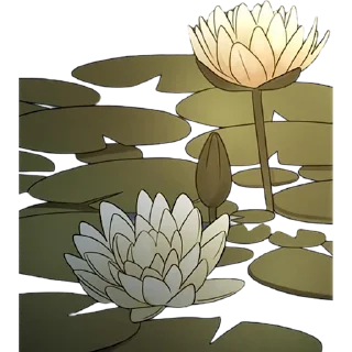 🪷