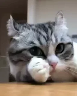 😏