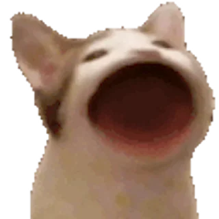 😝