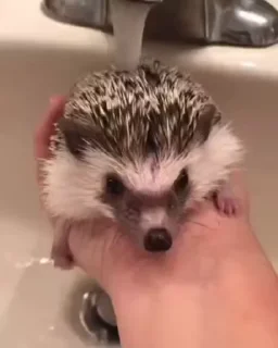 🚿