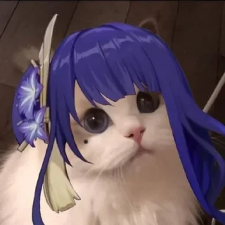 🐈‍⬛