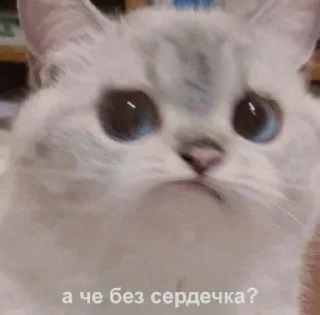 😕