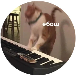 🤘