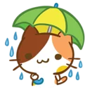 ☔