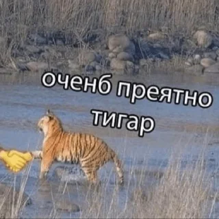 🐕