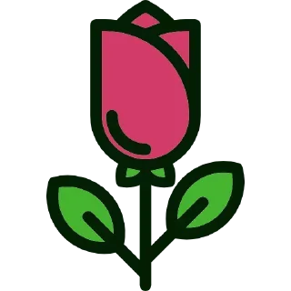 🌷