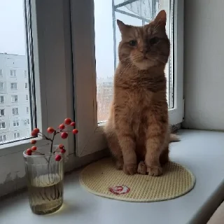 😍