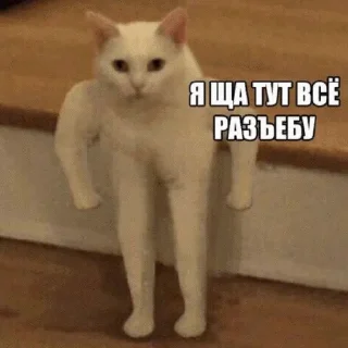 😡