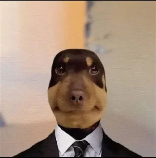 🤩