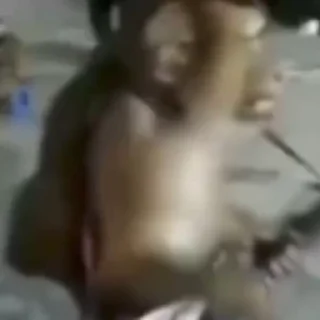 🎸