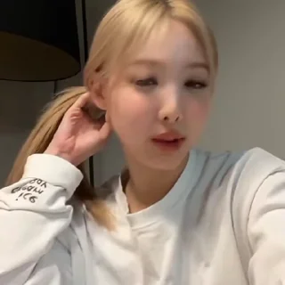 🐰
