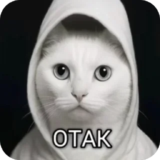 🫥