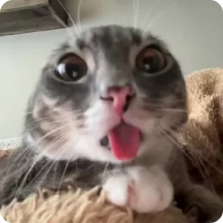 👽