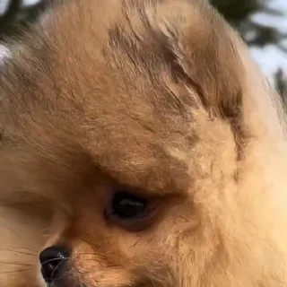 🤩