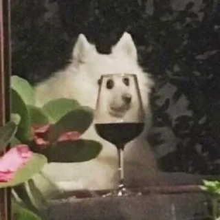 🍷