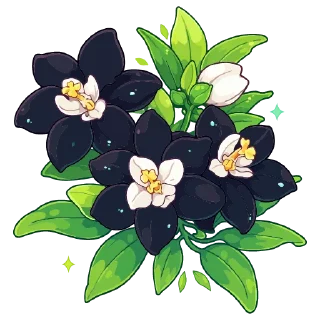 💐