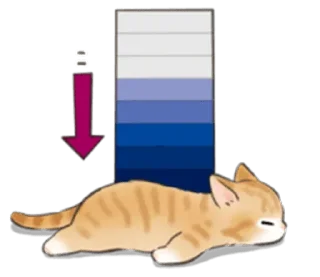 🐱