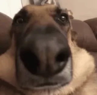 🤨