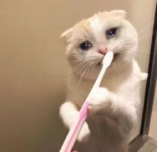 😭