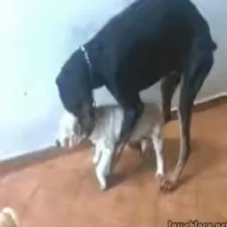 🥵