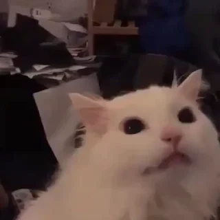 😤